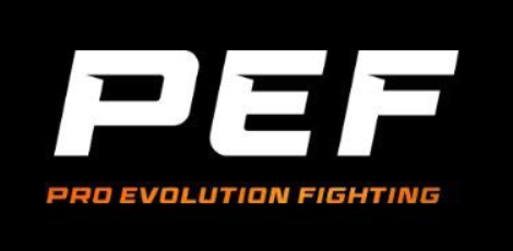 Pro evolution fighting